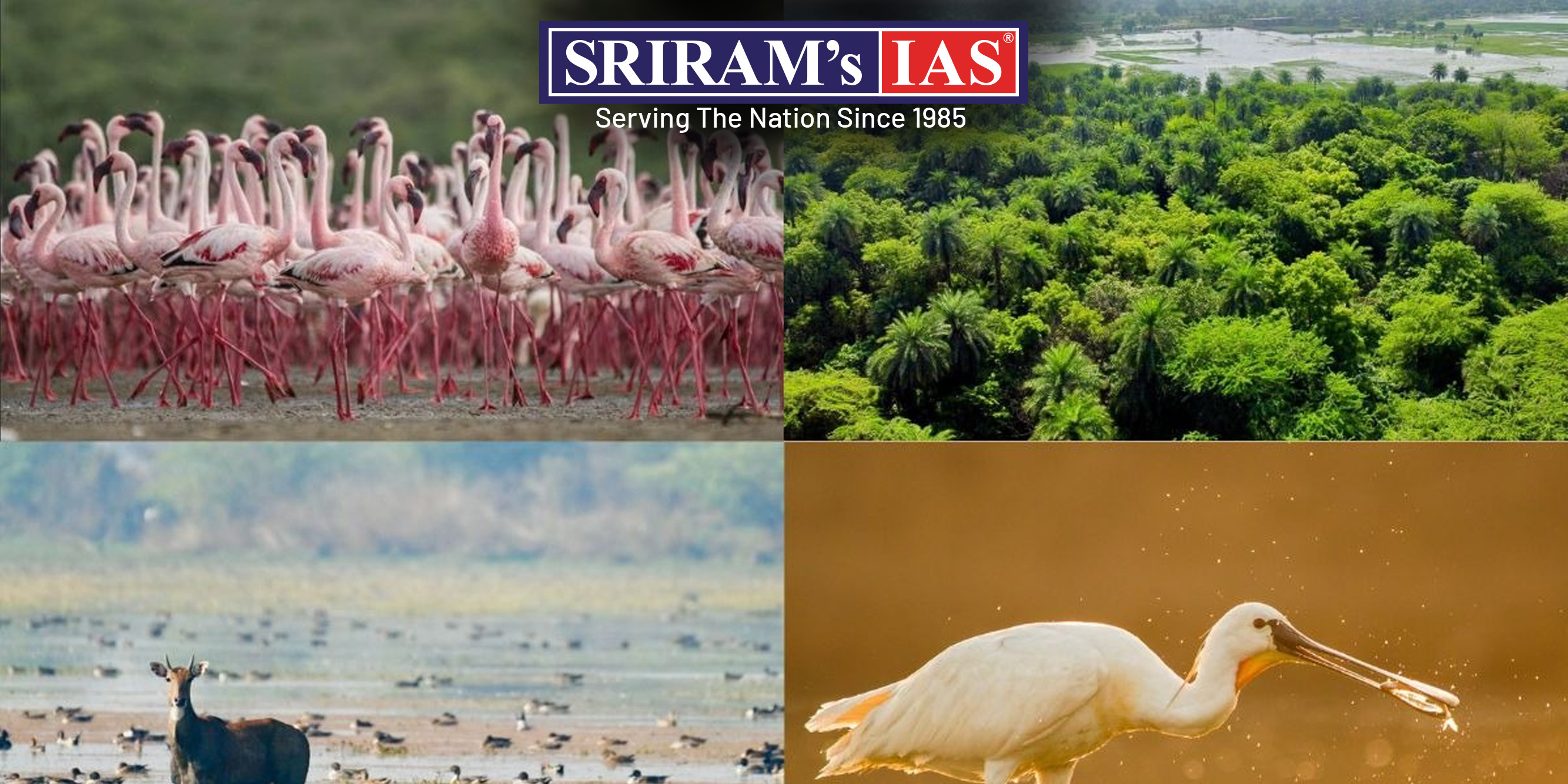 CHHARI DHAND WETLAND AND INDIA’S RAMSAR COMMITMENT