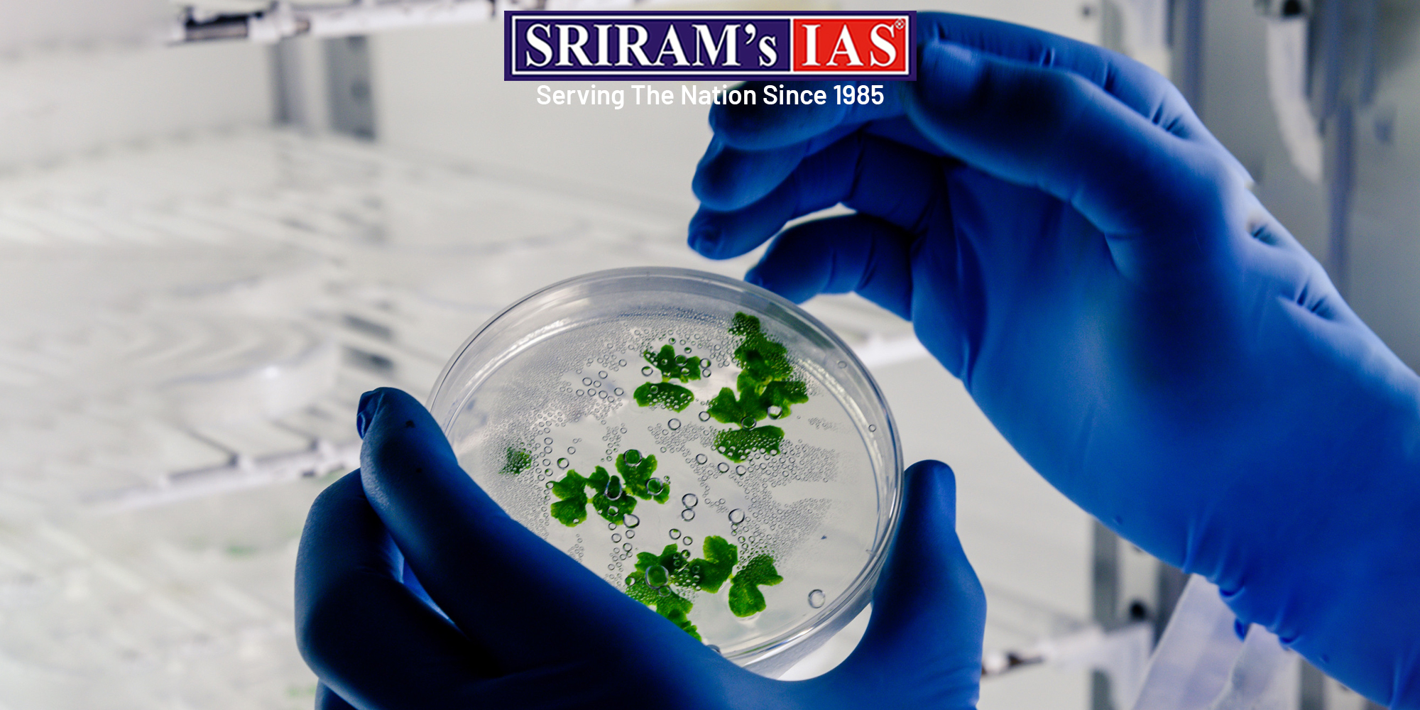 Biomaterials
